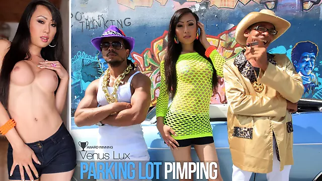 Venus Lux in Parking Lot Pimping - IKillItTs